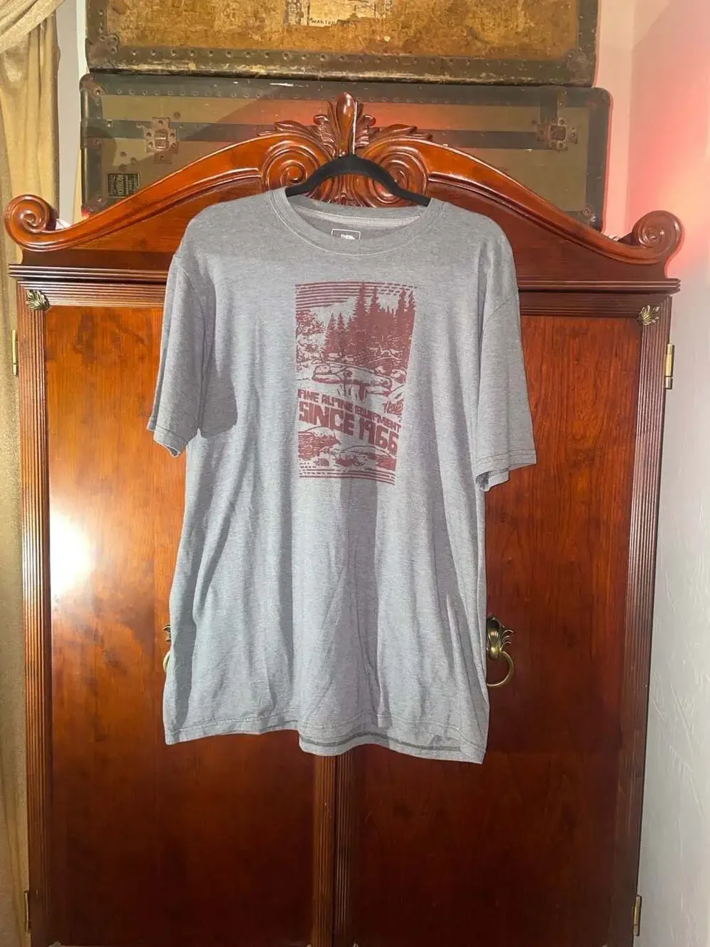 The North Face Mens Gray Fine Alpine Equipment Since 1966 Graphic T-Shirt L